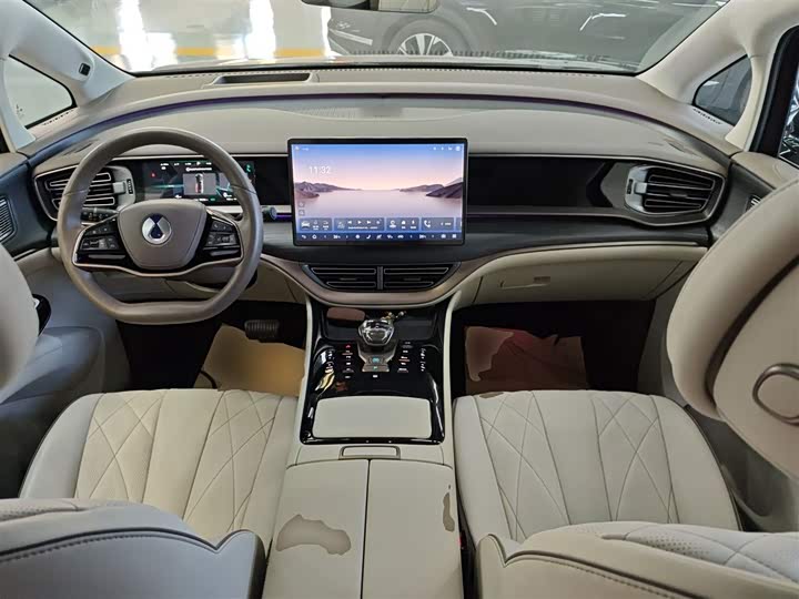 Фото 10 - Denza D9