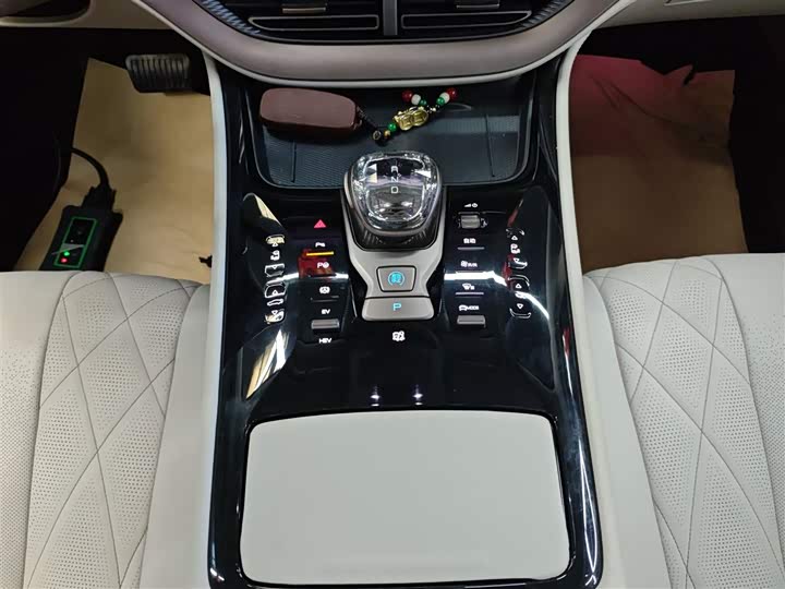 Фото 14 - Denza D9