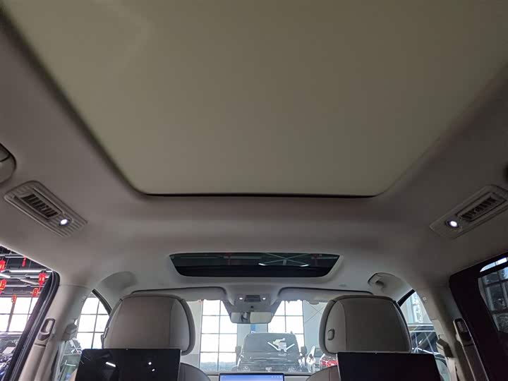 Фото 18 - Denza D9