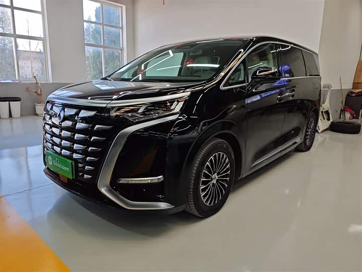 Фото 2 - Denza D9