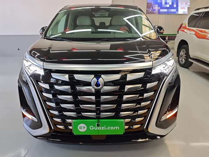 Фото 3 - Denza D9