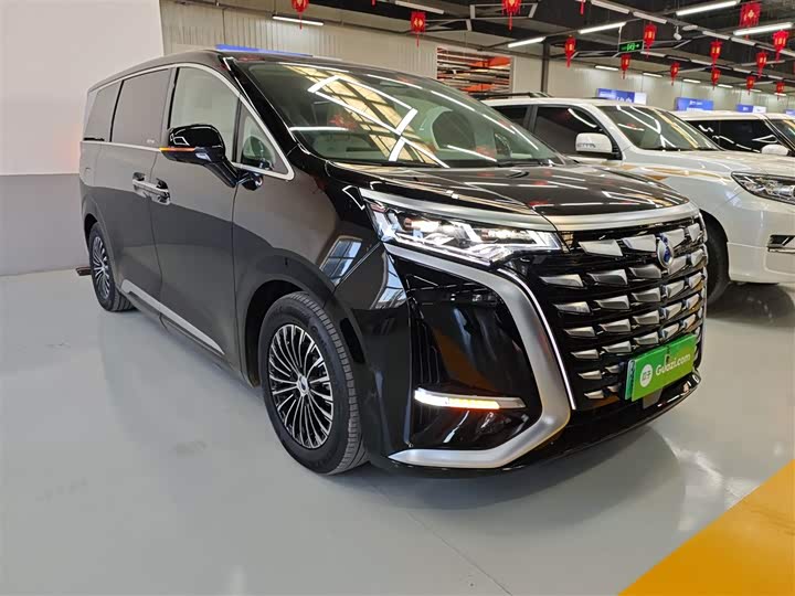 Фото 4 - Denza D9