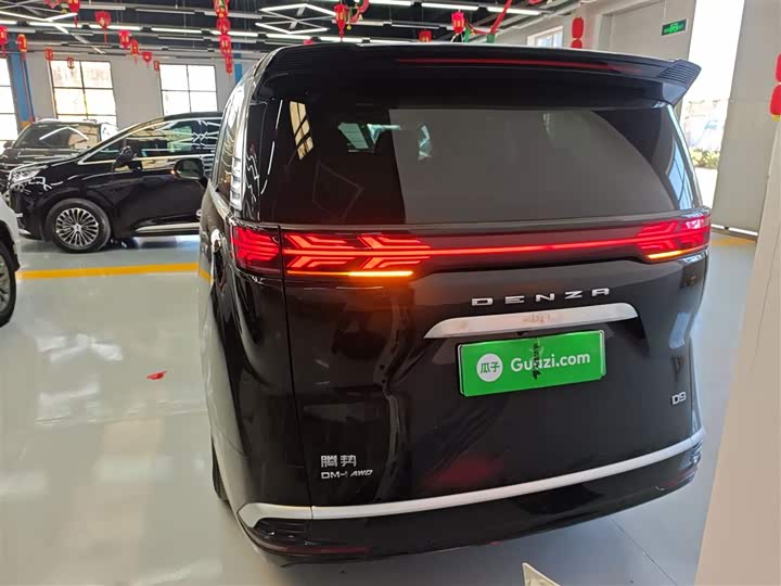 Фото 6 - Denza D9