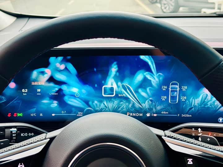 Фото 10 - Buick GL8 Century