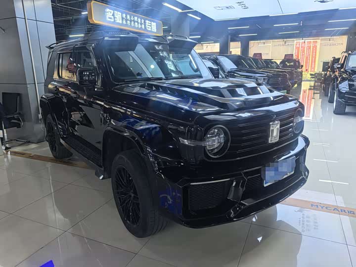 Фото 2 - Tank 300