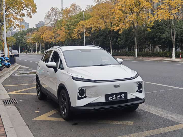 Фото 3 - Geely Geometry E Firefly