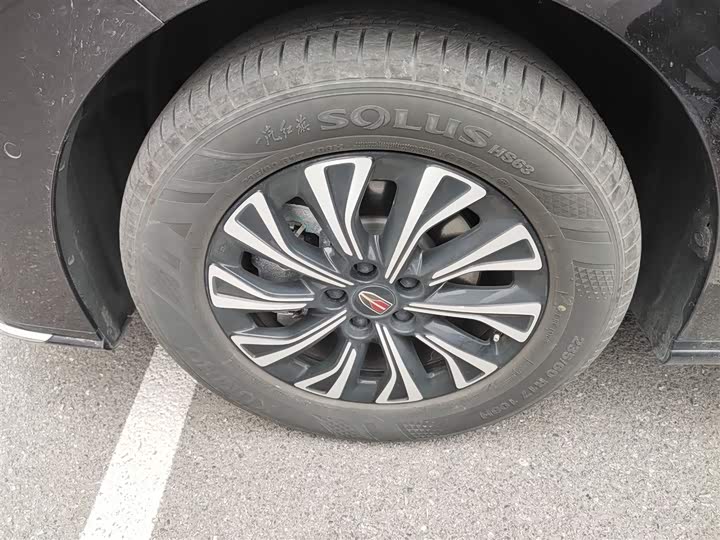 Фото 23 - Hongqi HQ9