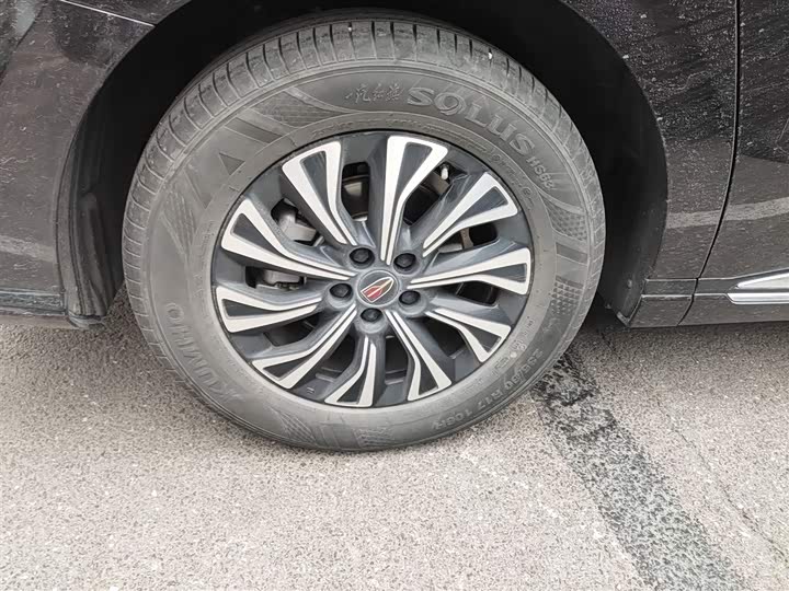 Фото 26 - Hongqi HQ9