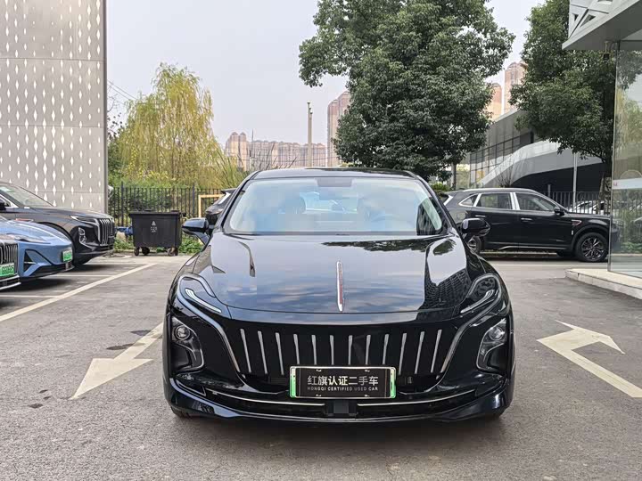 Фото 2 - Hongqi E-QM5