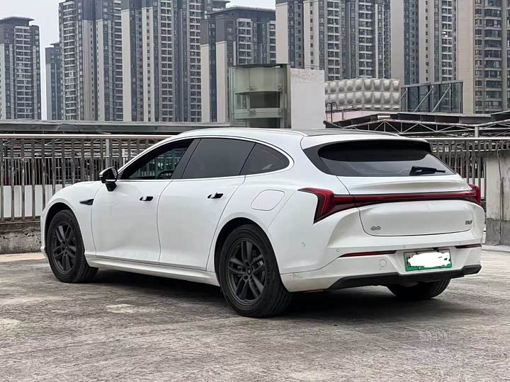 Фото 7 - Hozon S Hunting