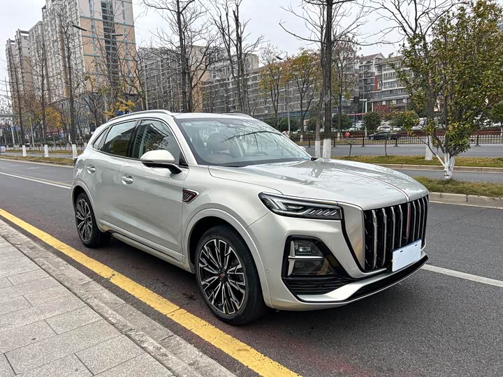 Фото 3 - Hongqi HS5