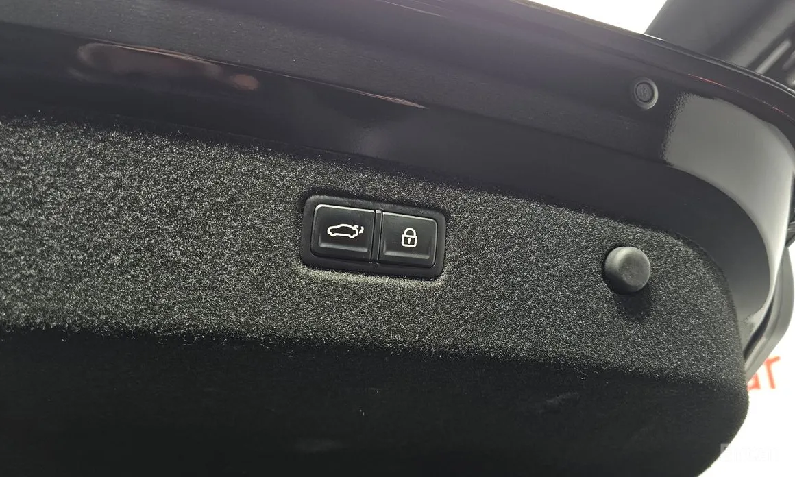 Фото 20 - Kia K9