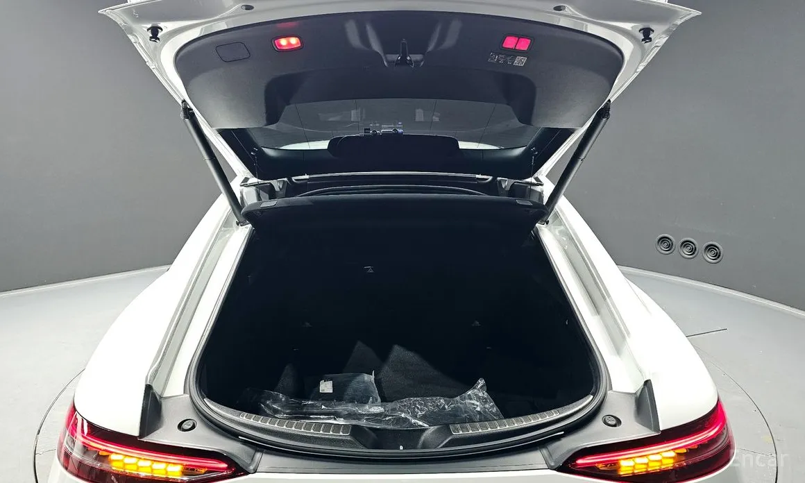 Фото 20 - Mercedes-Benz AMG GT