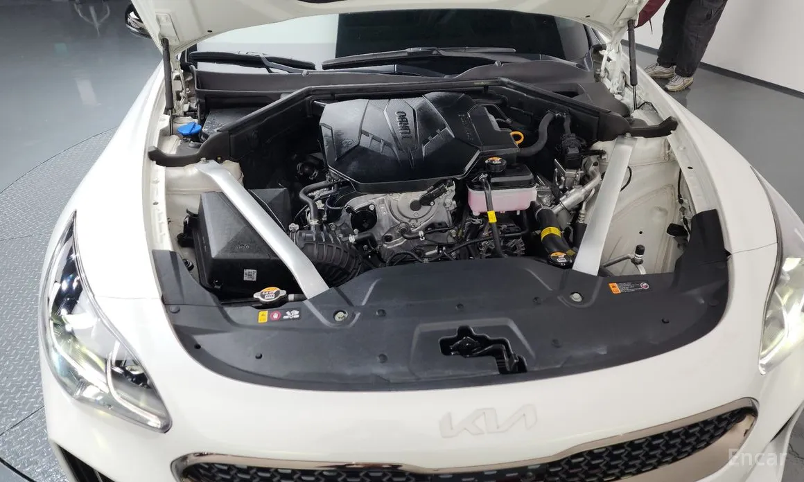 Фото 6 - Kia Stinger