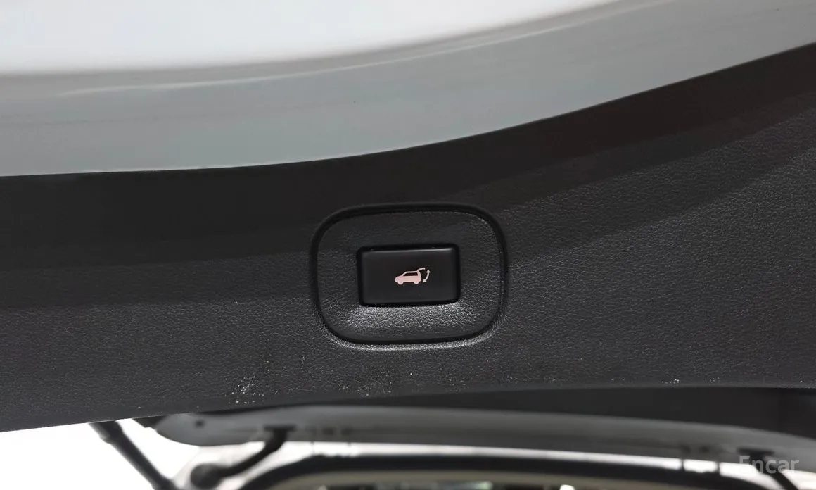 Фото 20 - Renault QM6