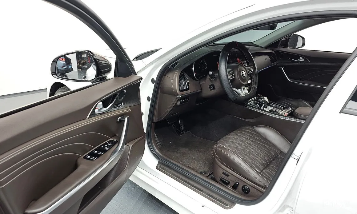 Фото 10 - Kia Stinger