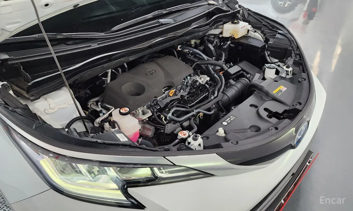 Фото 6 - Toyota Sienna