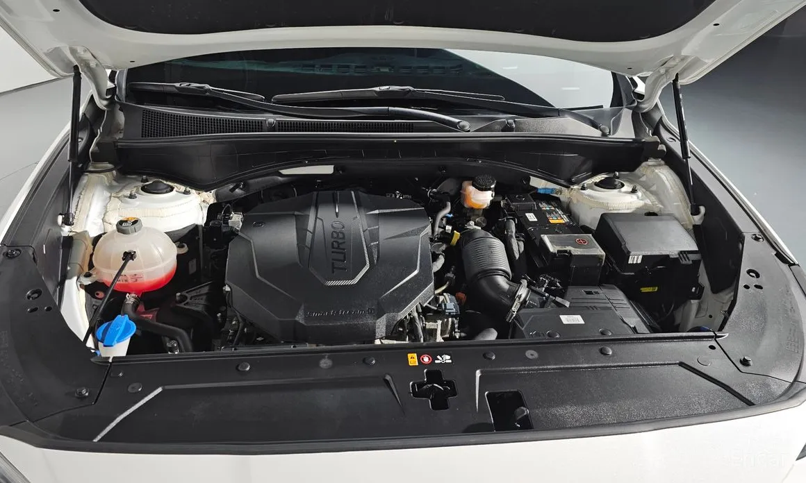 Фото 6 - Hyundai Santa Fe