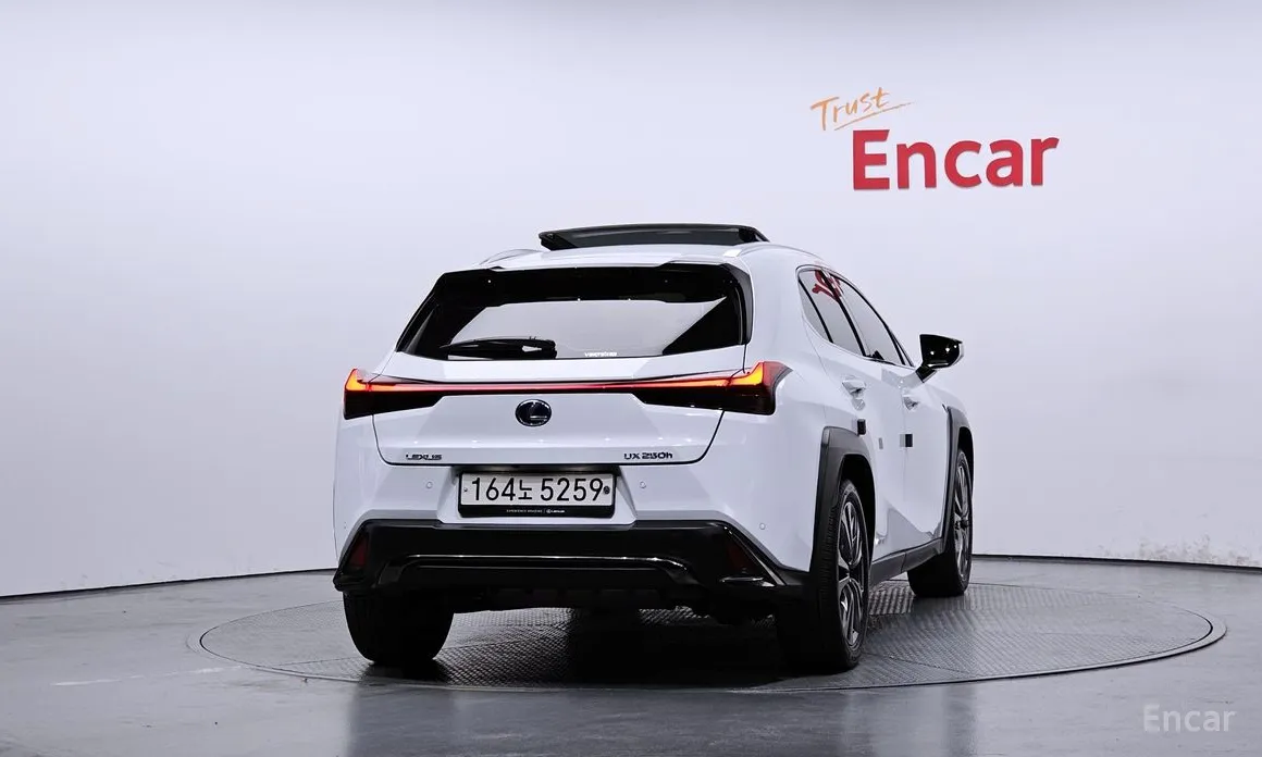 Фото 4 - Lexus UX