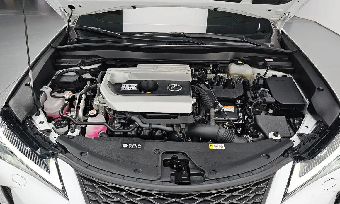 Фото 6 - Lexus UX