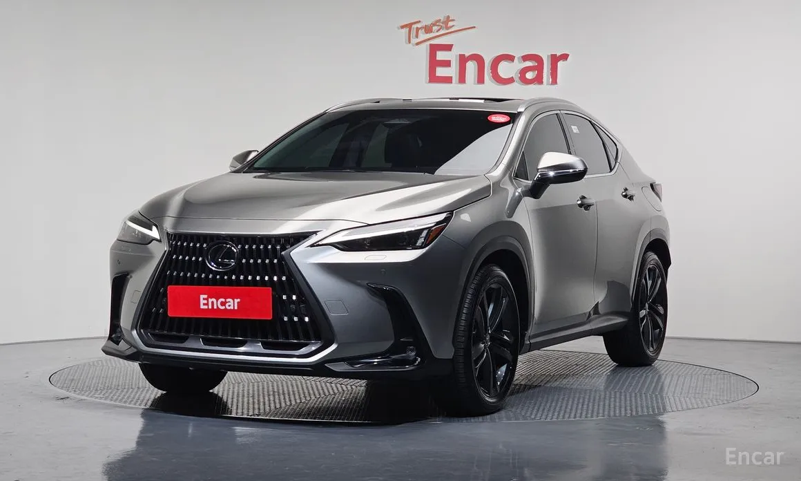 Фото 1 - Lexus NX