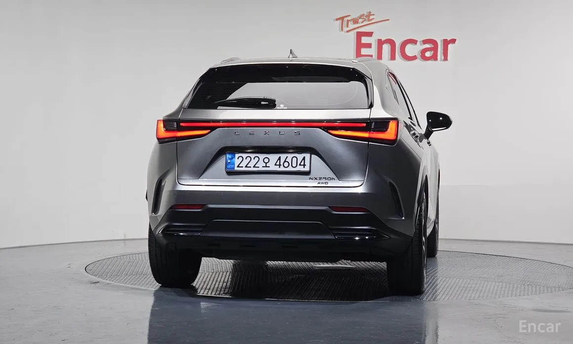 Фото 4 - Lexus NX