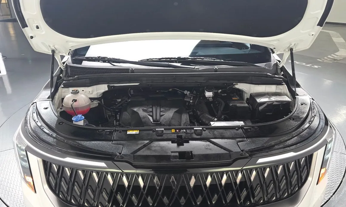 Фото 6 - Kia Carnival