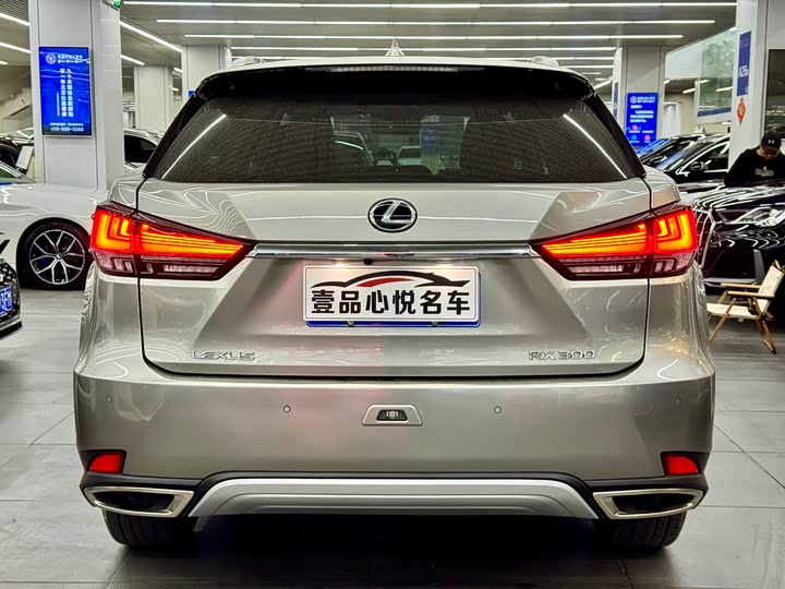 Фото 9 - Lexus RX