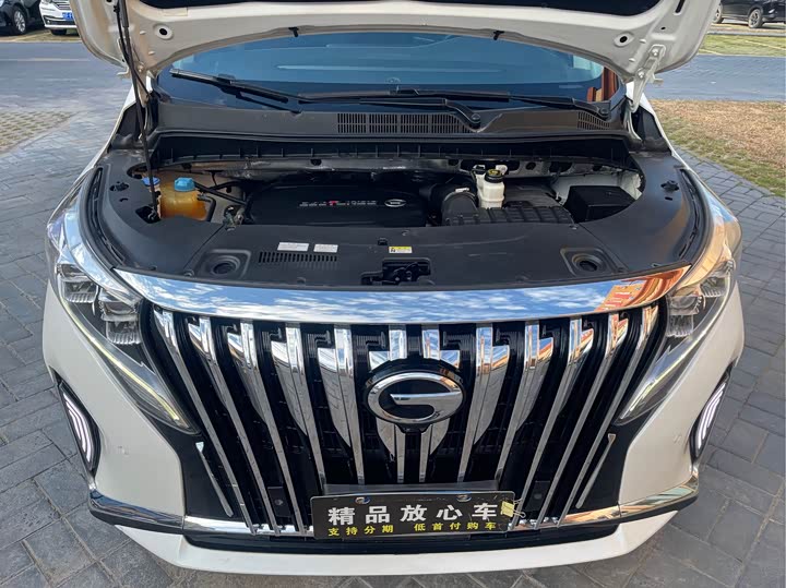 Фото 23 - GAC Trumpchi M8