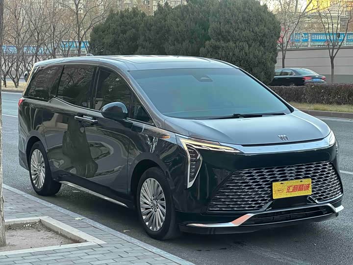 Фото 3 - Buick GL8 Century