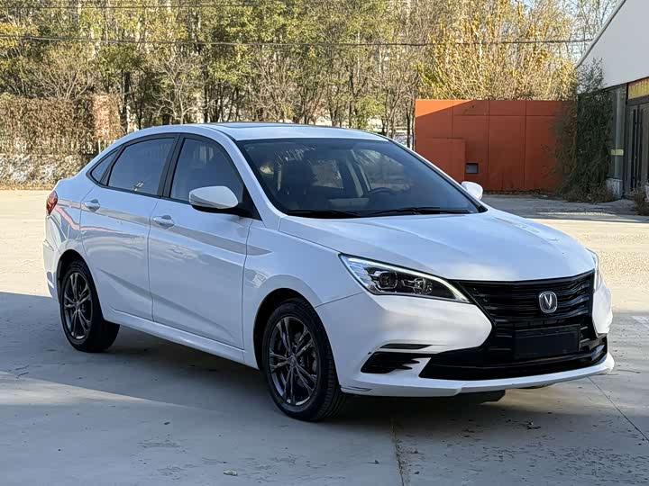 Фото 3 - Changan Eado DT