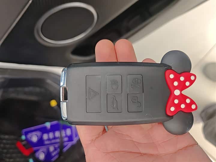 Фото 9 - Land Rover Discovery Sport