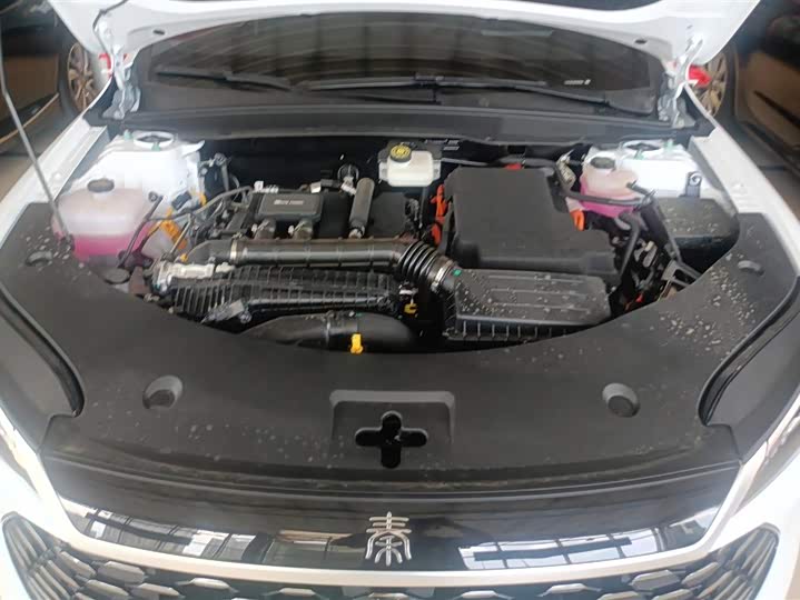 Фото 10 - BYD Qin Plus