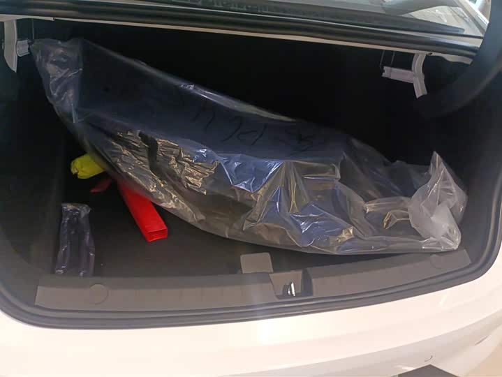 Фото 4 - BYD Qin Plus