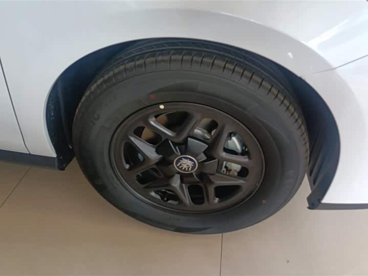 Фото 6 - BYD Qin Plus