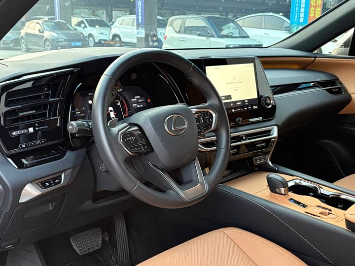 Фото 10 - Lexus RX