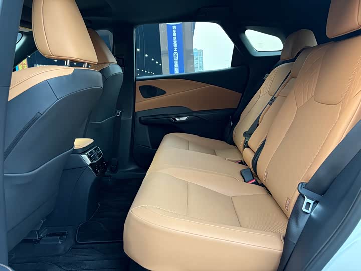 Фото 14 - Lexus RX