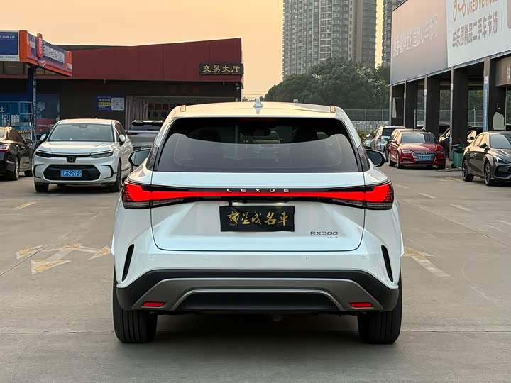 Фото 20 - Lexus RX