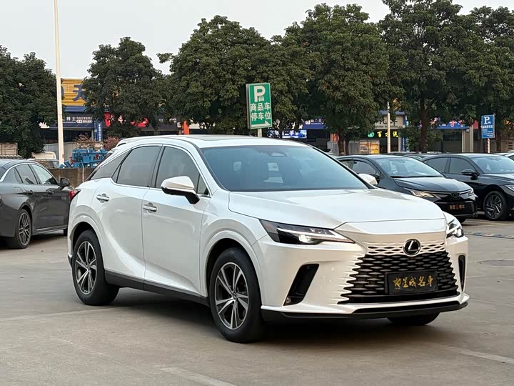 Фото 3 - Lexus RX