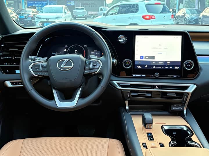 Фото 6 - Lexus RX