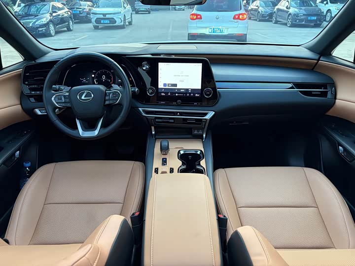 Фото 8 - Lexus RX