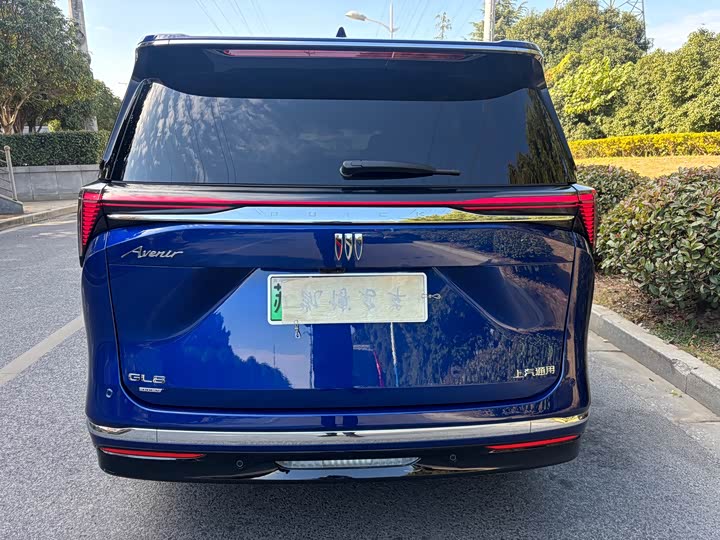 Фото 4 - Buick GL8 Hybrid