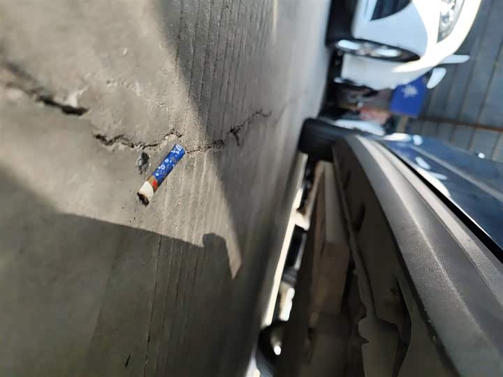 Фото 21 - Ora Good Cat (03)