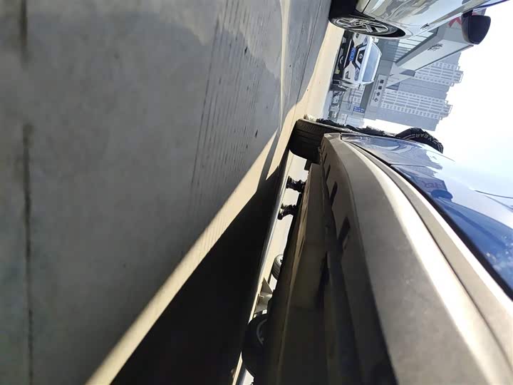 Фото 22 - Ora Good Cat (03)