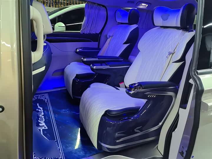 Фото 17 - Buick GL8 ES