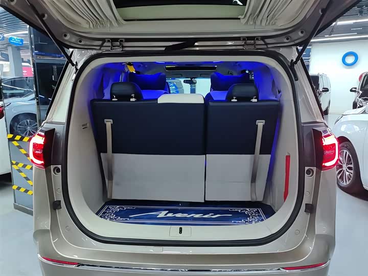 Фото 19 - Buick GL8 ES