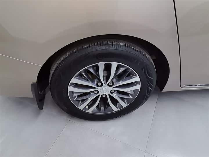 Фото 26 - Buick GL8 ES