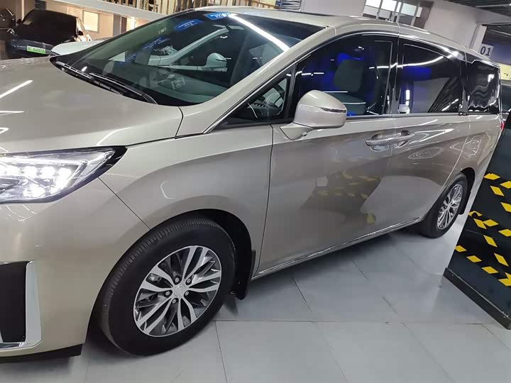 Фото 5 - Buick GL8 ES