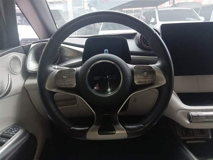 Фото 11 - BYD Dolphin