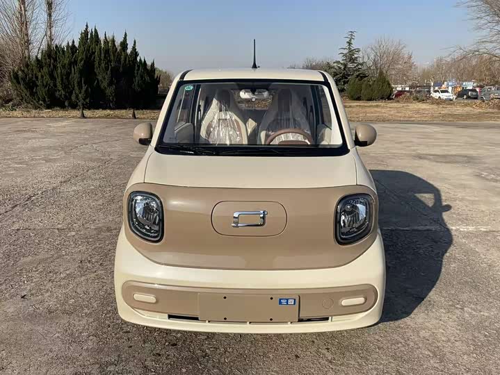 Фото 2 - Bestune Pony